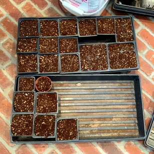 DIY Potting Mix ready for seeds